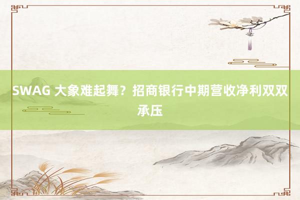 SWAG 大象难起舞？招商银行中期营收净利双双承压