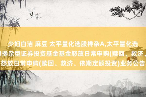 少妇白洁 麻豆 太平量化选股搀杂A,太平量化选股搀杂C: 太平量化选股搀杂型证券投资基金基金怒放日常申购(赎回、救济、依期定额投资)业务公告