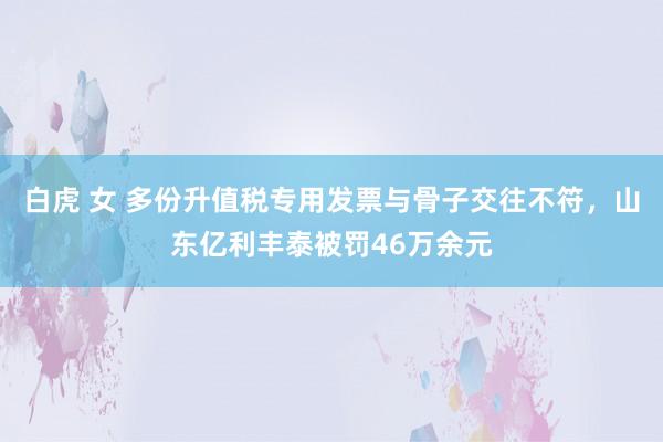 白虎 女 多份升值税专用发票与骨子交往不符，山东亿利丰泰被罚46万余元