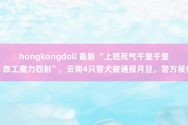 hongkongdoll 最新 “上班死气千里千里，放工魔力四射”，云南4只警犬被通报月旦，警方报告