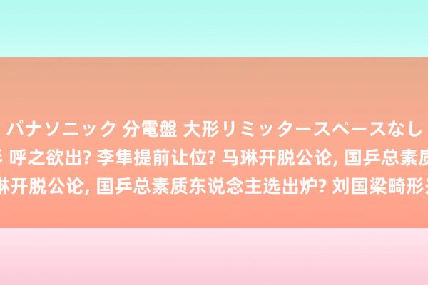 パナソニック 分電盤 大形リミッタースペースなし 露出・半埋込両用形 呼之欲出? 李隼提前让位? 马琳开脱公论， 国乒总素质东说念主选出炉? 刘国梁畸形兴隆