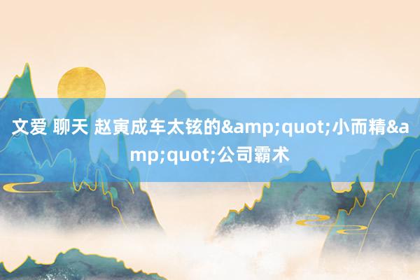 文爱 聊天 赵寅成车太铉的&quot;小而精&quot;公司霸术