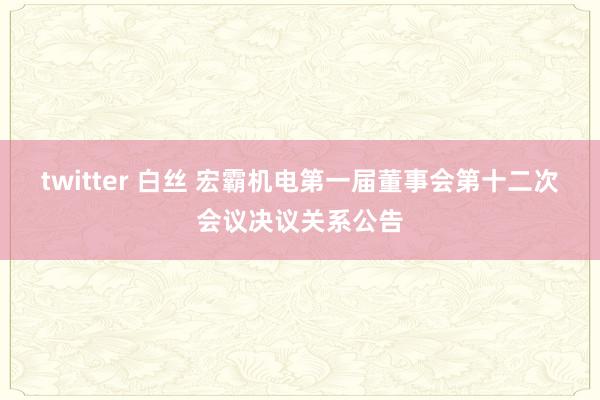 twitter 白丝 宏霸机电第一届董事会第十二次会议决议关系公告
