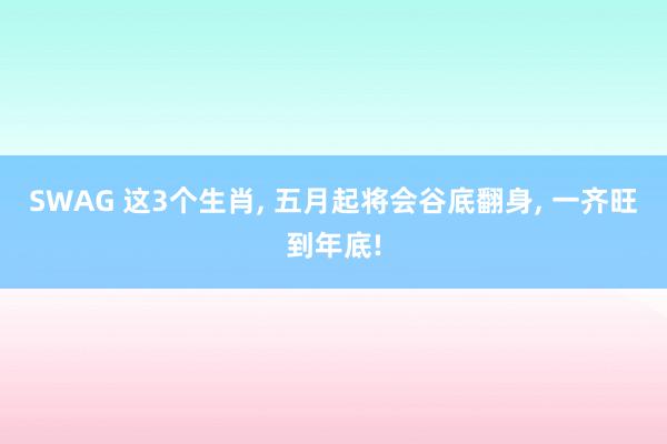 SWAG 这3个生肖， 五月起将会谷底翻身， 一齐旺到年底!